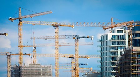 Baukräne stehen auf einer Baustelle in einer Innenstadt. / Foto: Christian Charisius/dpa/Symbolbild