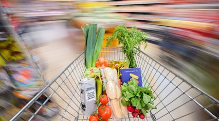 Ein mit Lebensmittel gefüllter Einkaufswagen wird durch einen Supermarkt geschoben. / Foto: Julian Stratenschulte/dpa/Illustration