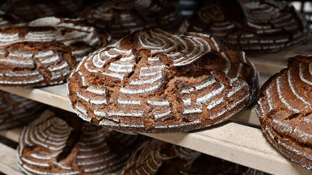 Roggenbrote liegen in der Backstube einer Bäckerei. / Foto: Martin Schutt/dpa-Zentralbild/dpa