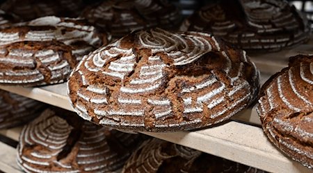 Roggenbrote liegen in der Backstube einer Bäckerei. / Foto: Martin Schutt/dpa-Zentralbild/dpa