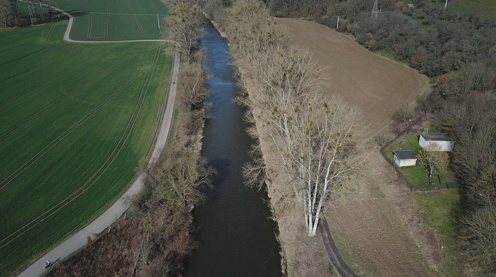 Der Flusslauf der Weißen Elster. / Foto: Bodo Schackow/dpa-Zentralbild/dpa