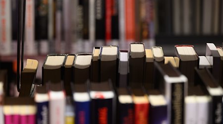 Bücher stehen in einem Bibliotheksregal. / Foto: Robert Michael/dpa/Symbolbild