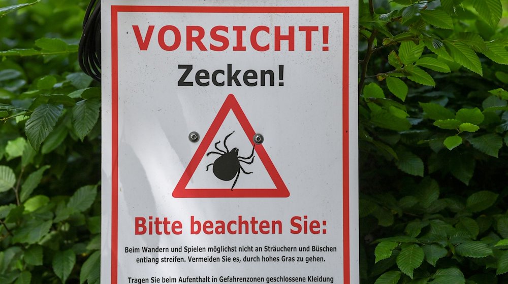 «Vorsicht! Zecken!» steht auf einem Warnschild im Biosphärenreservat Schorfheide-Chorin. / Foto: Jens Kalaene/dpa-Zentralbild/dpa