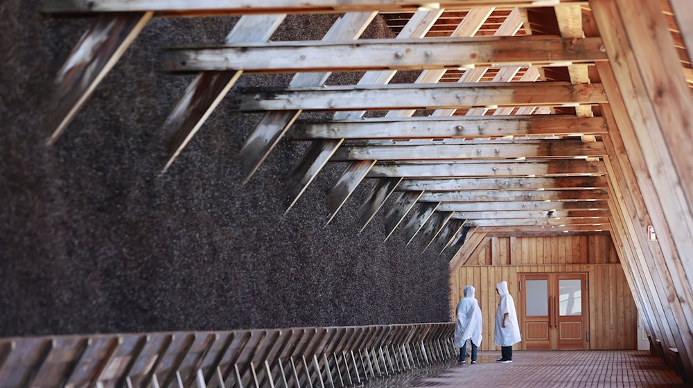 Besucherinnen gehen durch das Gradierwerk in Bad Salzungen. / Foto: Matthias Bein/dpa/Archivbild