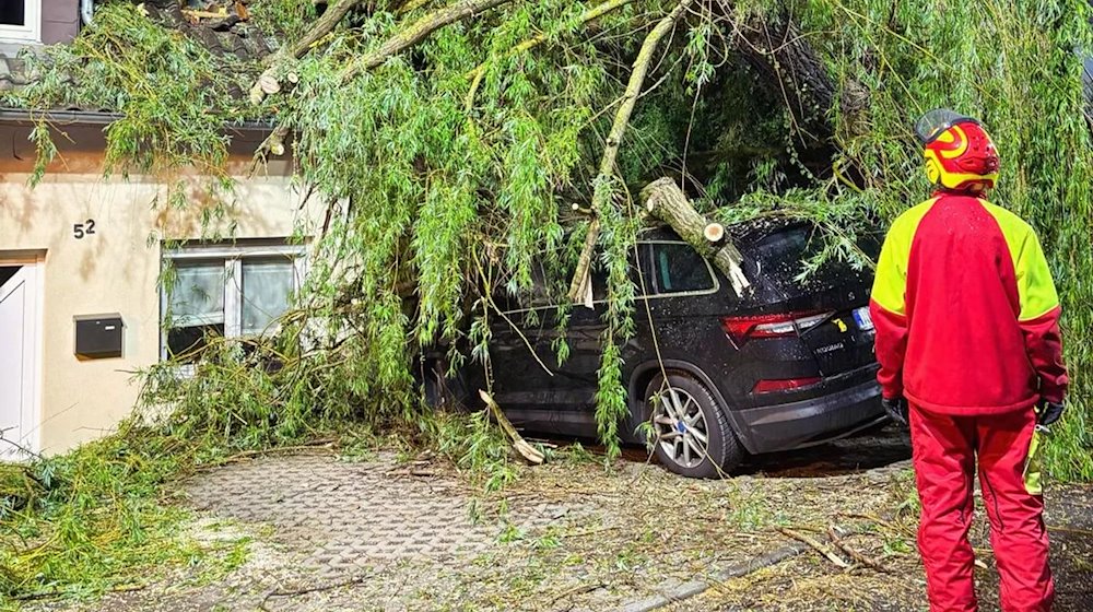 In Pößneck ist bei stürmischen Wetter am Montagabend eine große Trauerweide auf zwei Fahrzeuge und ein Haus gestürzt. / Foto: Freiwillige Feuerwehr Pößneck/dpa