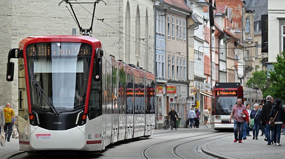 Straßenbahnen fahren durch die Innenstadt. / Foto: Martin Schutt/dpa