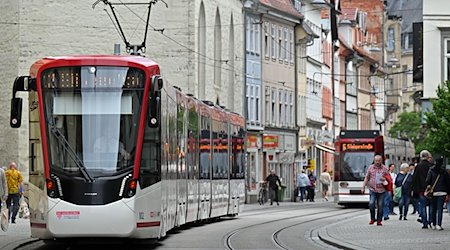 Straßenbahnen fahren durch die Innenstadt. / Foto: Martin Schutt/dpa