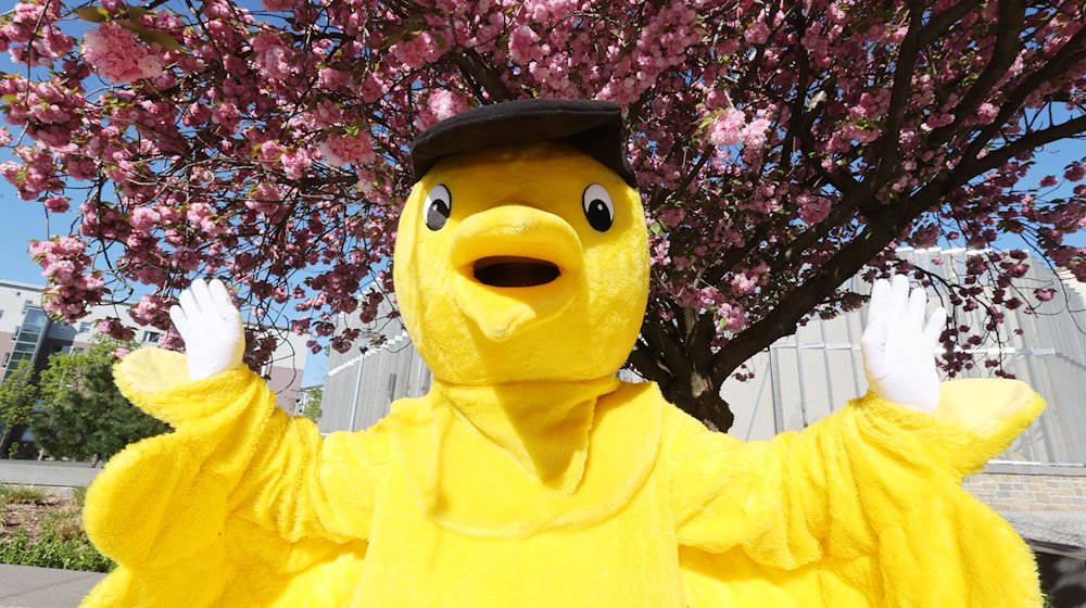 Das Maskottchen «Goldener Spatz» posiert am Rande einer Pressekonferenz zum Programm des Goldenen Spatz-Festivals. / Foto: Bodo Schackow/dpa