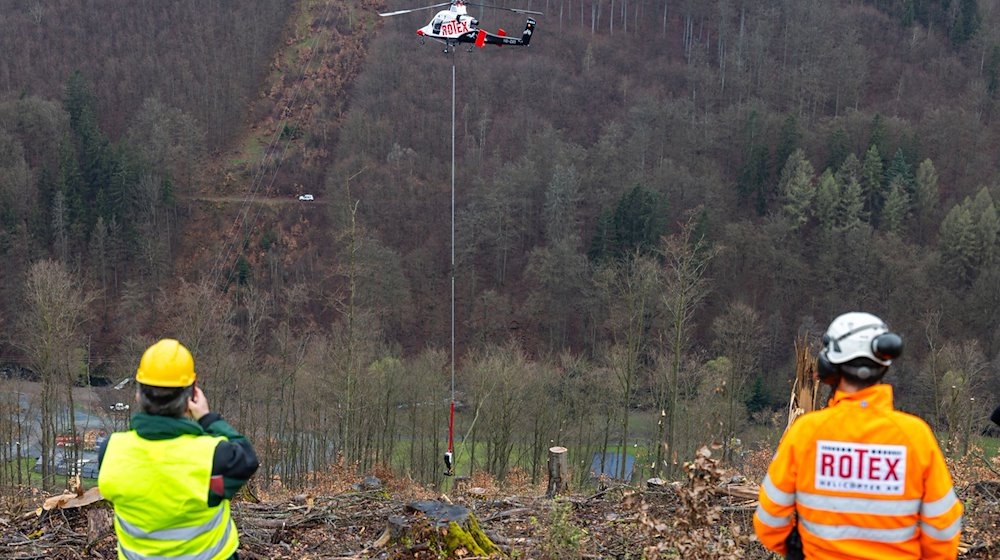 Forstmitarbeiter beobachten den Spezial-Hubschrauber mit Harvesterkopf an einem Tragseil beim Einsatz in einem Steilhang im Forstamt Sonneberg. / Foto: Michael Reichel/dpa