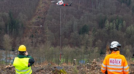 Forstmitarbeiter beobachten den Spezial-Hubschrauber mit Harvesterkopf an einem Tragseil beim Einsatz in einem Steilhang im Forstamt Sonneberg. / Foto: Michael Reichel/dpa