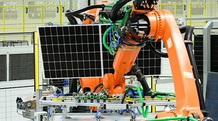 Ein Solarmodul wird mit einem Roboter zum nächsten Arbeitsgang transportiert. / Foto: Robert Michael/dpa/Archivbild