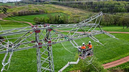 Monteure erneuern eine 110 KV Hochspannungsleitung. / Foto: Jan Woitas/dpa