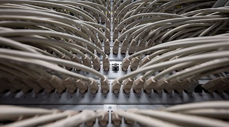 Netzwerkkabel stecken im Höchstleistungsrechenzentrum HLRS in Ports eines Switchs. / Foto: Marijan Murat/dpa