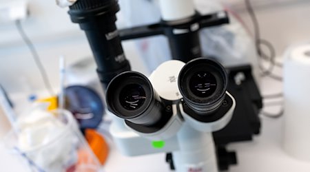 Ein Mikroskop ist in einem Labor zu sehen. / Foto: Sven Hoppe/dpa