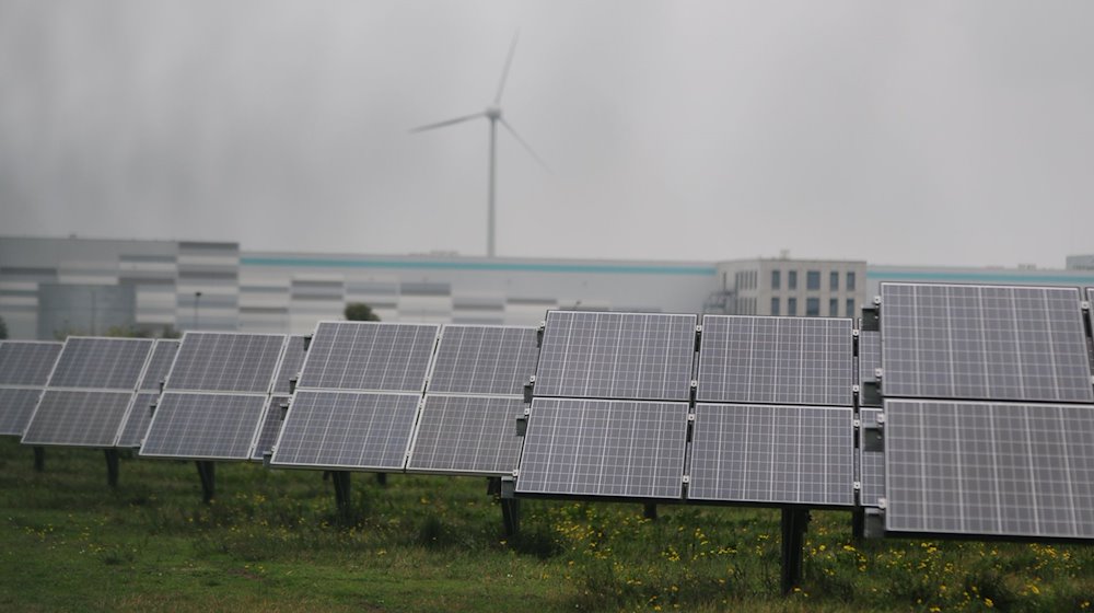 Photovoltaikmodule stehen in einem Gewerbepark in Bitterfeld-Wolfen. / Foto: Simon Kremer/dpa/Archivbild