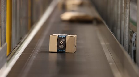 Pakete laufen über ein Laufband in einer Halle. / Foto: Bodo Schackow/dpa-Zentralbild/dpa
