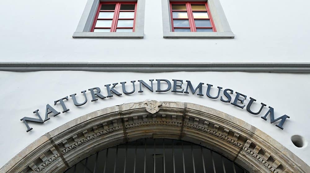 «Naturkundemuseum» steht über dem Eingang zum Museum. / Foto: Martin Schutt/dpa-Zentralbild/dpa