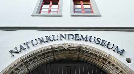 «Naturkundemuseum» steht über dem Eingang zum Museum. / Foto: Martin Schutt/dpa-Zentralbild/dpa