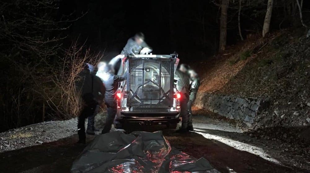 Mitarbeiter des Trentiner Forstkorps bereiten den Transport der Bärin JJ4 vor. / Foto: -/Provinzregierung  Trentino/dpa/Archiv