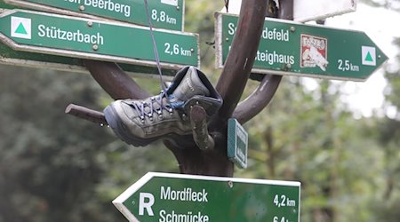 Wanderweg-Hinweisschilder stehen am Rennsteig bei der Eröffnung des 29. Thüringer Wandertages. / Foto: Bodo Schackow/dpa-Zentralbild/dpa
