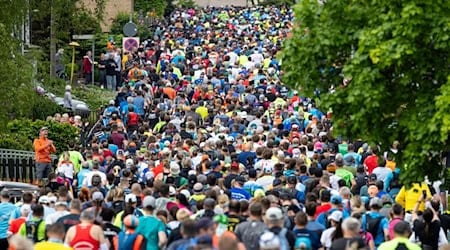 Läufer sind beim 51. GutsMuths-Rennsteiglauf 2024 nach dem Start in Neuhaus am Rennweg am ersten Berg der Marathon-Strecke unterwegs. / Foto: Michael Reichel/dpa