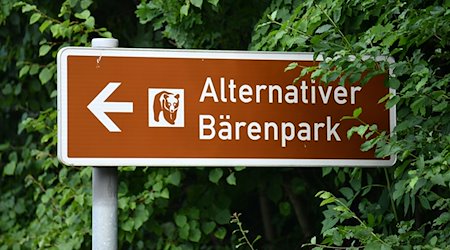 Ein touristisches Hinweisschild zeigt den Weg zum Alternativen Bärenpark. / Foto: Martin Schutt/dpa-Zentralbild/dpa