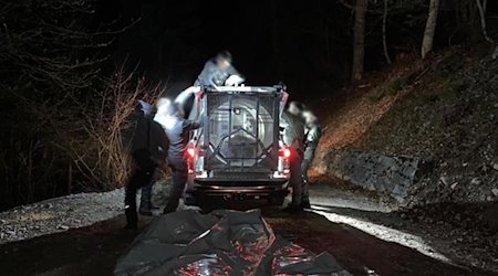 Mitarbeiter des Trentiner Forstkorps bereiten den Transport der Bärin JJ4 in ein Wildreservat vor. / Foto: -/Provinzregierung  Trentino/dpa