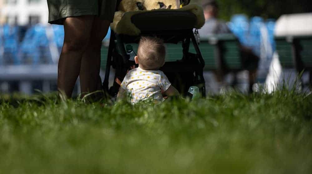 Ein Kleinkind sitzt vor einem Kinderwagen auf einer Wiese. / Foto: Hannes P Albert/dpa