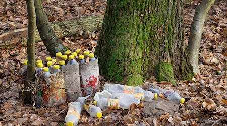 Leere Plastikflaschen liegen neben einem Baum. / Foto: Soeren Stache/dpa/Archiv