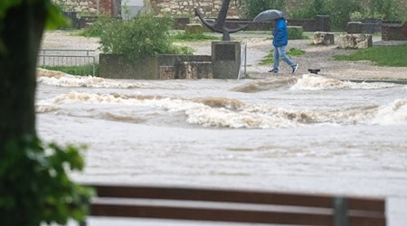 In Lauingen ist die Donau über das Ufer getreten. / Foto: Stefan Puchner/dpa