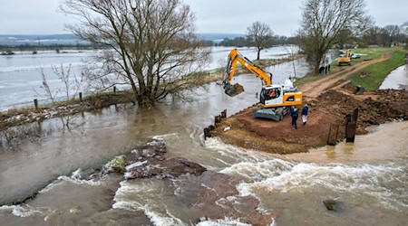 Nach sinkenden Pegelständen wurde mit schwerem Gerät die Deichöffnung nördlich von Mönchpfiffel-Nikolausrieth an der Landesgrenze Sachsen-Anhalt und Thüringen wieder verschlossen. / Foto: Jan Woitas/dpa