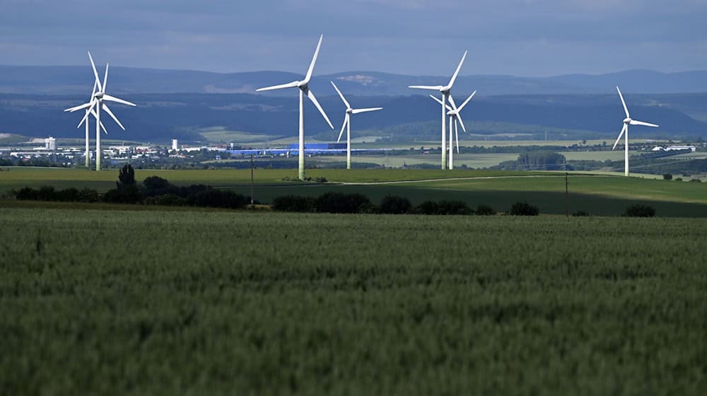 Beim Ausbau der Windenergie herrschte in Thüringen in der ersten Jahreshälfte Stillstand. (Archivbild) / Foto: Martin Schutt/dpa