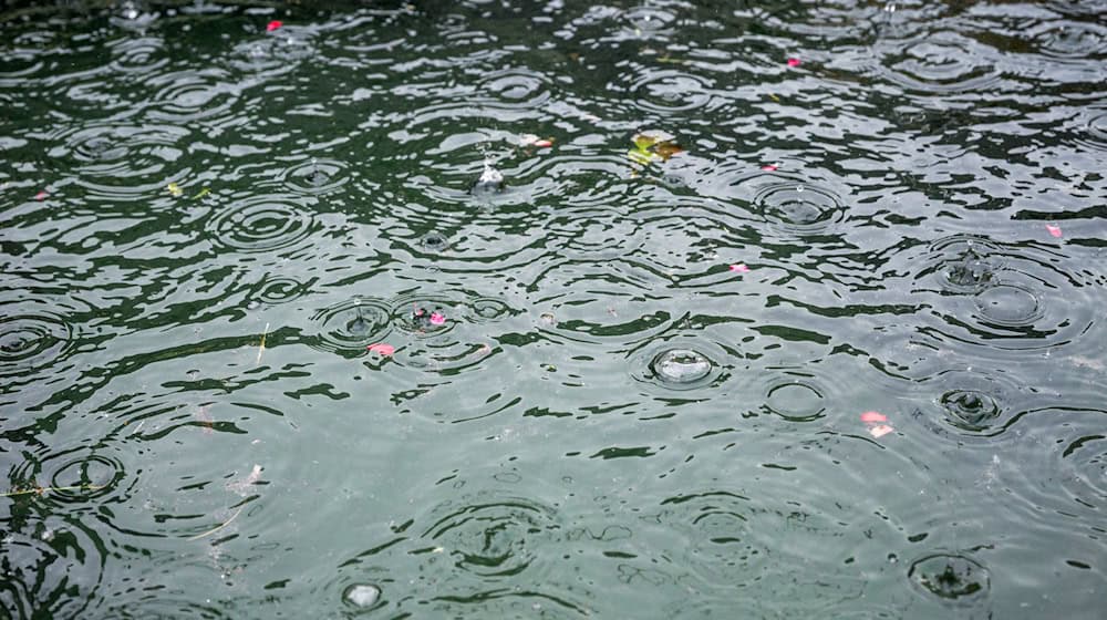 Wind und Starkregen verursachten lediglich leichte Schäden in Mitteldeutschland. (Symbolbild) / Foto: Daniel Vogl/dpa