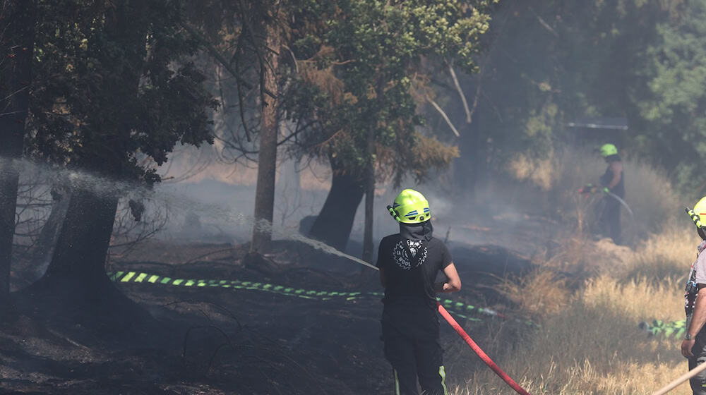 Im August ist laut Landesforstanstalt vermehrt mit Waldbränden zu rechnen. (Archivbild) / Foto: Bodo Schackow/dpa