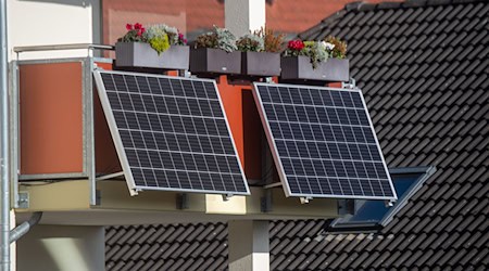 Solar deckt inzwischen mehr als ein Fünftel des Thüringer Stromverbrauchs. (Archivbild) / Foto: Stefan Sauer/dpa