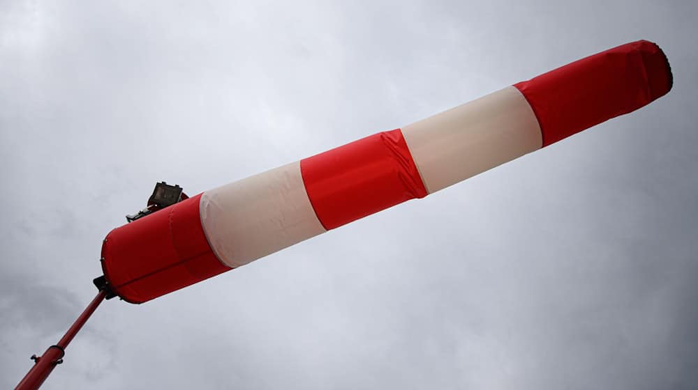 Wind entwurzelt Bäume im Saale-Holzland-Kreises. (Symbolbild)  / Foto: Robert Michael/dpa-Zentralbild/dpa