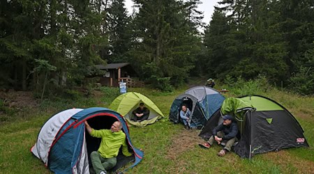 Campen, wo früher Stachedraht war. Aus er innerdeutschen Grenze wurde das Grüne Band. / Foto: Martin Schutt/dpa