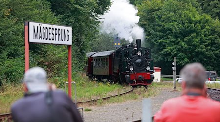 Die Dampflok «Hoya» fährt am Haltepunkt Mägdesprung ein. / Foto: Matthias Bein/dpa