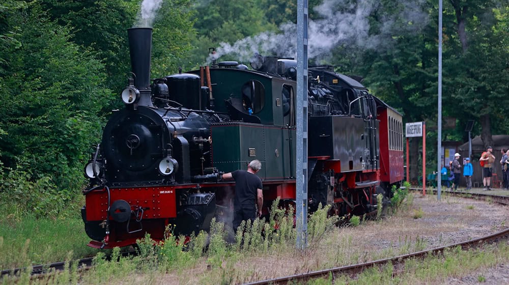 Beim 125. Doppelgeburtstag der Harzquerbahn und der Brockenbahn ist die 125 Jahre alten Dampflok «Hoya» so etwas wie der Stargast.   / Foto: Matthias Bein/dpa