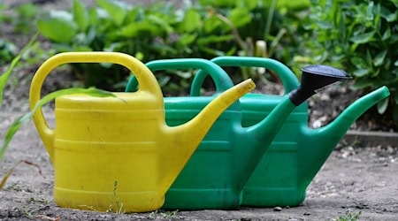 Gießkannen mussten in diesem Gartenjahr eher selten zum Einsatz kommen. (Symbolbild) / Foto: Martin Schutt/dpa-Zentralbild/dpa