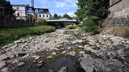 Thüringen ist nach Einschätzungen von Wissenschaftlern vom Klimawandel besonders betroffen. (Archivbild) / Foto: Martin Schutt/dpa