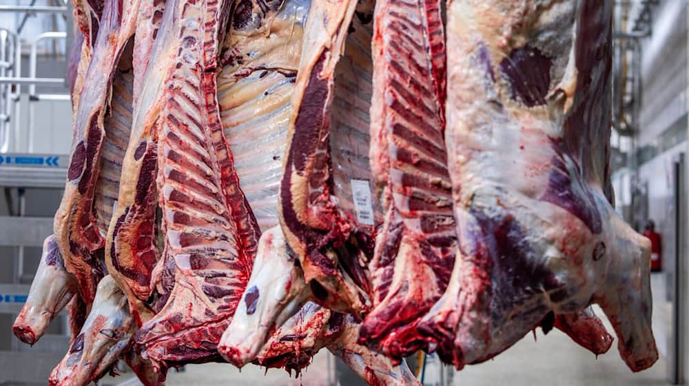 Nachschub für Steaks und Rouladen: In Thüringen wird wieder mehr Fleisch erzeugt (Symbolfoto). / Foto: Jens Büttner/dpa