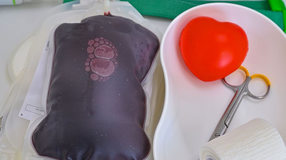 Sommerloch: Während der Urlaubssaison sinkt alljährlich die Zahl der Blutspenden. (Symbolfoto) / Foto: Patrick Pleul/dpa