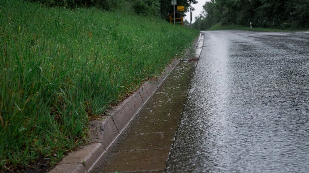 Straßenränder sollten aus Sicht des Thüringer Landesamt für Umwelt, Bergbau und Naturschutz länger wuchern dürfen. / Foto: Daniel Vogl/dpa