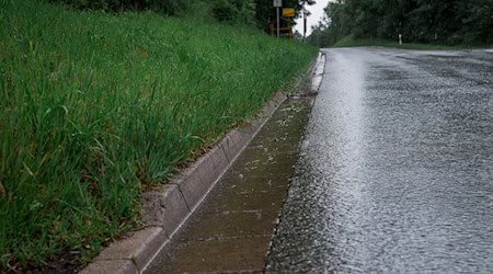 Straßenränder sollten aus Sicht des Thüringer Landesamt für Umwelt, Bergbau und Naturschutz länger wuchern dürfen. / Foto: Daniel Vogl/dpa