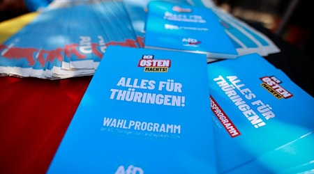 Die AfD kann laut Umfrage bei der Wahl in Thüringen damit rechnen, stärkste Partei zu werden.  / Foto: Matthias Bein/dpa