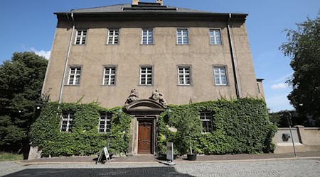 Im Museum für Naturkunde in Gera ist ab Samstag eine lebensgroße Nachbildung eines Wollhaarnashorns zu sehen. (Archivbild) / Foto: Bodo Schackow/dpa-zentralbild/dpa