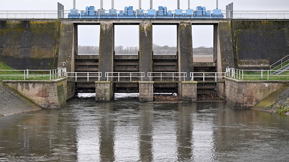 Die Erweiterung und Sanierung des Hochwasserrückhaltebeckens Straußfurt ist eines von drei anstehenden großen Projekten. (Archivbild) / Foto: Martin Schutt/dpa