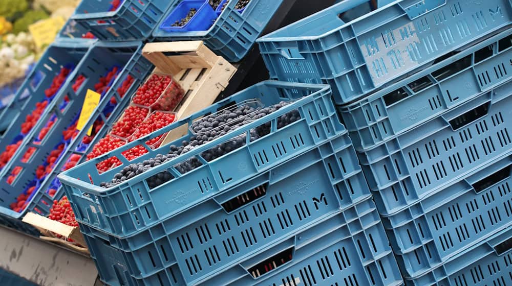 In zwei Geraer Supermärkten wurden Spinnen in Obstkisten entdeckt. (Symbolbild) / Foto: Martin Gerten/dpa