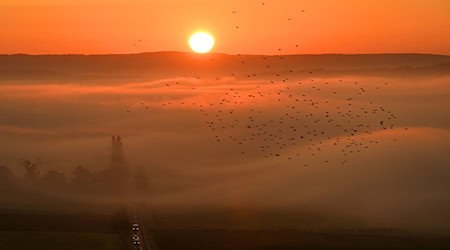 Das Wetter im Freistaat startet neblig und bleibt über das Wochenende wechselhaft. (Archivbild) / Foto: Martin Schutt/dpa